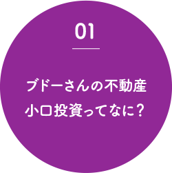 01 ブドーさんの不動産 小口投資ってなに？