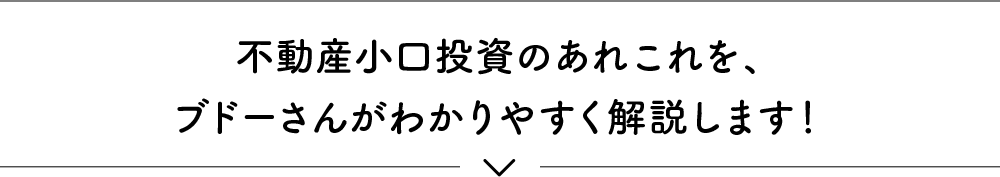 不動産小口投資のあれこれを、ブドーさんがわかりやすく解説します！